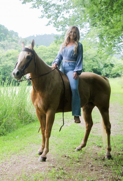 Blue Skies Cropped Sweater