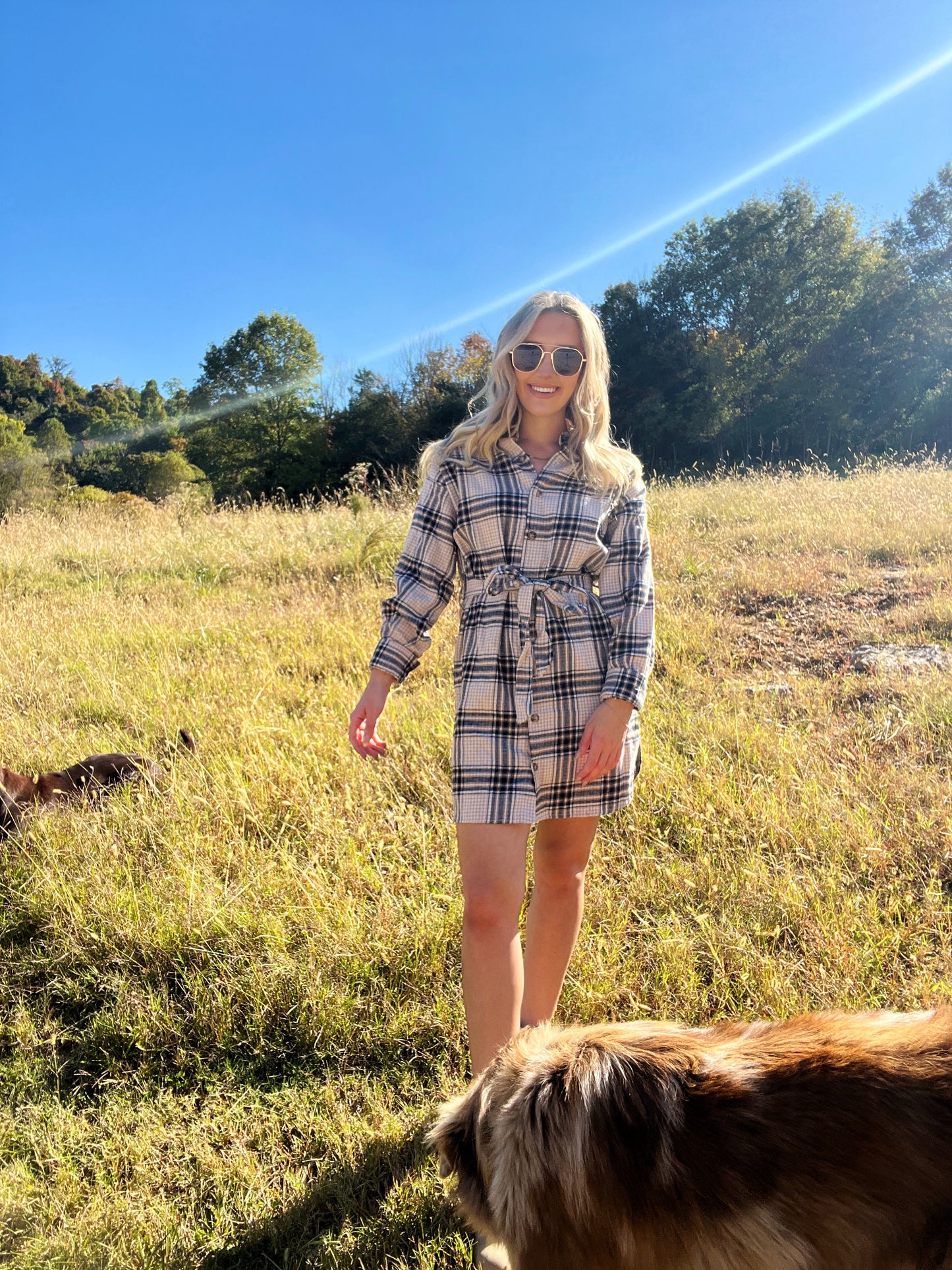 Flannel Dress